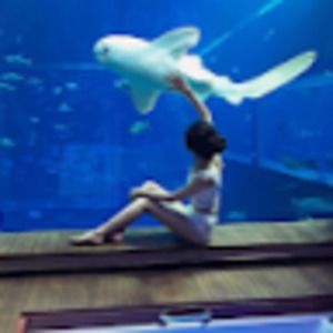 Meet your Posher, Miuku